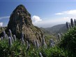 Španělsko - Kanárské ostrovy - Garajonay - Roque de Agando