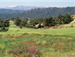Kypr - pohoří Troodos