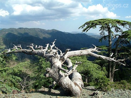Kypr - pohoří Troodos je největší na ostrově