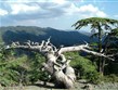 Kypr - pohoří Troodos je největší na ostrově