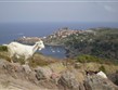 Itálie - Capraia