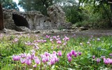Památky UNESCO - Albánie - Albánie - rozkvetlé ruiny Butrintu