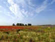 Maďarsko - NP Körös-Maros - oblast mokrých luk Kis-Sárrét