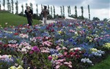 Světová výstava květin Floriade - Holandsko - Floriade 2012 - květiny všech barev a odstínů