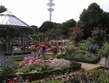 Slavnosti květin - Německo - Hamburg - Planten und Blomen