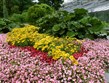 Německo - Hamburg - Planten un Blomen