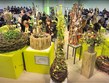 Slavnosti květin - Německo - festival IPM Essen