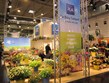 Slavnosti květin - Německo - festival IPM Essen