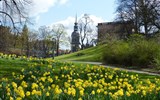 Drážďany, Míšeň, zahrady a kamélie v Pillnitz a výstava orchidejí - Německo - Drážďany v jarním hávu.