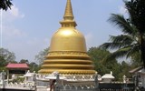 Srí Lanka, tropický ráj zvířat - Sri Lanka -  Damboula, chrám zlatého Budhy