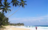 Srí Lanka, tropický ráj zvířat 2021 - Sri Lanka - pláže Unawatuny