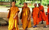Srí Lanka, tropický ráj zvířat 2021 - Sri Lanka - budhističtí mniši na výletě