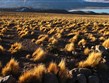 Peru - vysokohorská náhorní plošina Altiplano