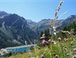 Itálie - Lago di Pian Palú