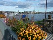 Švédsko - Stockholm - pohled na centrum
