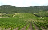 Languedoc, katarské hrady, moře Lví zátoky a kaňon Ardèche letecky 2019 - Frtancie - Languedoc - vinice v oblasti Pays Corbiéres-Minervois