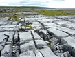 Irsko - Burren, hezky je vidět síť původních puklin v hornině