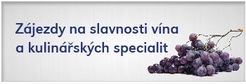 Zájezdy na slavnosti vína a kulinářských specialit