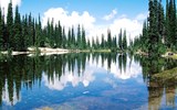 Kanada, národní parky - Kanada - NP Revelstike - Balsam Lake