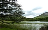 Irsko - smaragdový ostrov - Irsko - NP Connemara - voda a rašeliniště