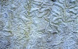 Cliffs Of Mohers - rsko - Cliffs Of Moher, stopy po lezení karbonských červů po mořském dně