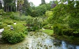 Powerscourt Gardens - Irsko - Powerscourt Garden, japonská zahrada