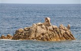 Arbatax - Itálie - Sardinie - Arbatax, kouzlo pobřeží Capo Bellavista