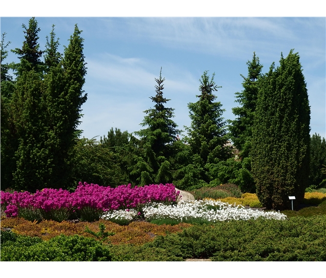 Kromlau, říše azalek a rododendronů - Německo - Nochten - Findlingspark, tak takováhle nádhera vznikla na výsypkách tvořených hlušinou