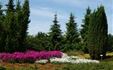 Krásy jarních zahrad Saska a Lužice - Německo - Nochten - Findlingspark, tak takováhle nádhera vznikla na výsypkách tvořených hlušinou