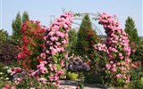 Zahradnická výstava Buga 2015, Havelregion - Německo - Havelregion - výstavní část věnovaná královnám květin - růžím