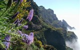 Ostrov Madeira, festival květů - Portugalsko - Madeira - ostrov květů