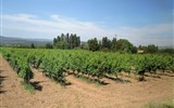 Přírodní parky a památky Provence 2017 - Francie - Provence - v okolí Bonnieux se vyrábí AOC vína Ventoux a Luberon.