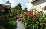 Rosenburg - Rakousko - Tulln - Rosenburg, stará růžová zahrada