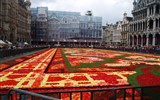 Brusel - Belgie - Brusel - Tapis de Fleurs