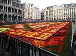 Belgie, umění, památky UNESCO, gastronomické zážitky či květinový koberec 2022  Belgie - Brusel, květinový koberec, vždy na svátek Nanebevzetí P.Marie