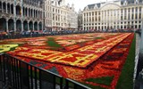 Belgie, památky UNESCO a květinový koberec - Belgie - Brusel, květinový koberec, vždy na svátek Nanebevzetí P.Marie