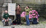Locronan - Francie - Bretaň - Locronan, místní keltští hudebníci