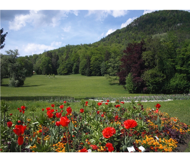 Léto s Františkem Josefem v Solné komoře - Rakousko - Bad Ischl - zahrady u Císařské vily plynule přecházejí do anglického parku