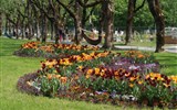 Bad Ischl, Císařovy nové zahrady s květinovým korzem a Linec - Rakousko - Bad Ischl - Sisipark, místo třeba k posezení v houpací síti a k pohledům na barevnou krásu