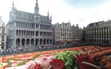 Belgie, památky UNESCO a květinový koberec - Belgie - Brusel, Grand Place s květinovým kobercem, 2014 - téma turecký koberec kelim