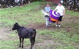 Terceira - Portugalsko - Azory - Terceira, dva mladí toreadoři, děti tu zkoušejí často zápasit s mladými býčky, i zápasy dospělých toreadorů jsou však nekrvavé