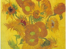 Rotterdam, Van Gogh a největší květinové korzo světa a výstava Floriade 2022  Holandsko -  v Zundertu se narodil V.van Gogh, autor známých Slunečnic, 1888
