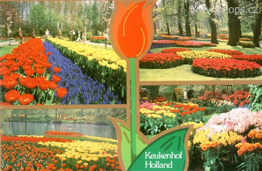 Holandsko - Keukenhof, největší květinový park květinové supervelmoci