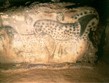 Do přírody pod stan - Francie, Quercy, Pech Merle, jeskyně s malbami neolitického člověka