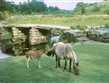 Anglie - Devon - Dartmoor