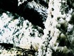 Polsko, Wieliczka - solný důl, těžilo se zde již od 13.století