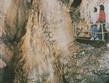 Slovensko, Nízké Tatry, Demanová, jeskyně svobody