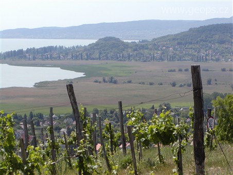 Maďarsko - Balaton - vinice nad jezerem