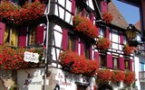 Alsasko a Schwarzwald, zážitky na vinné stezce - Francie -  Alsasko - Ribeauville, hrázděné dopmy a květiny