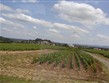 Francie - Champagne - vinice se rozkládají na ploše 30.000 ha a roční produkce činí 270 milionů lahví